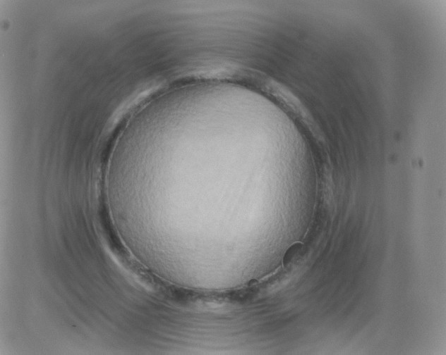 X0000083040586200702231932