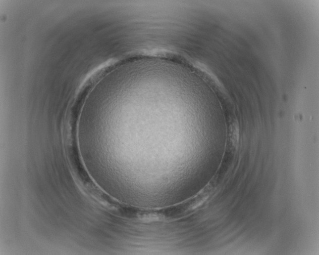 X0000083040587200702231932