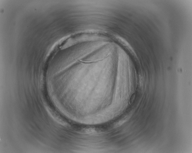 X0000083040588200702231932