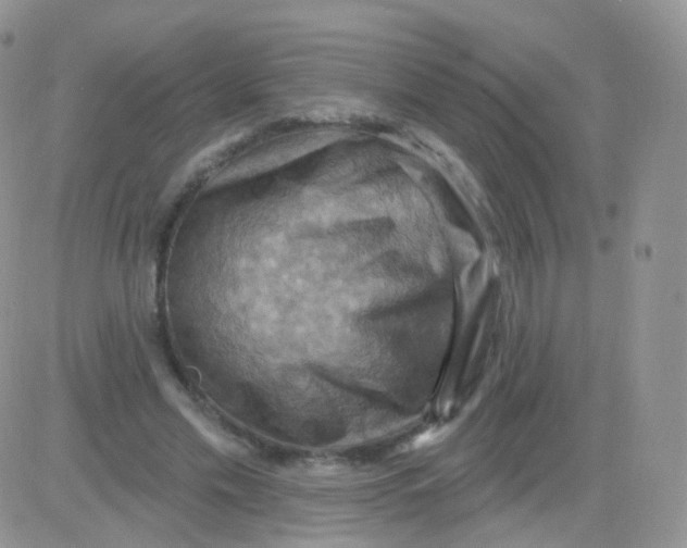 X0000083040589200702231932