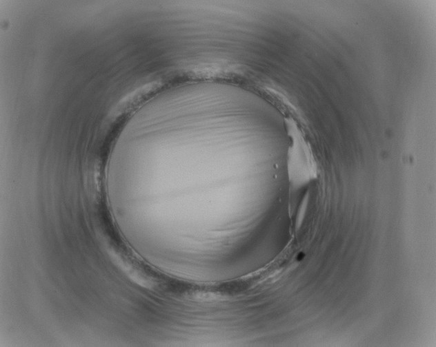 X0000083040590200702231932