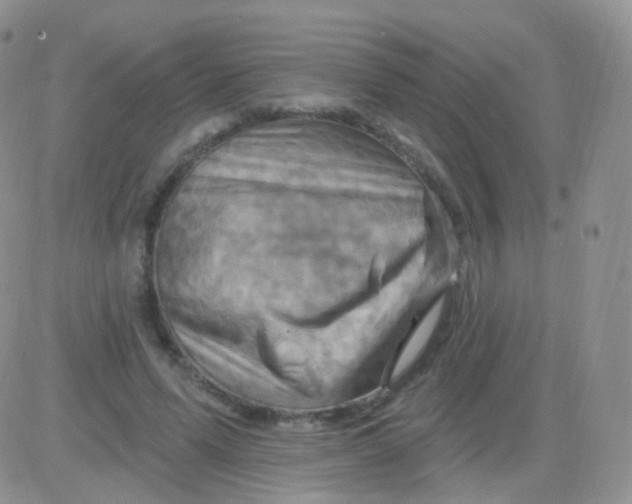 X0000083040591200702231932