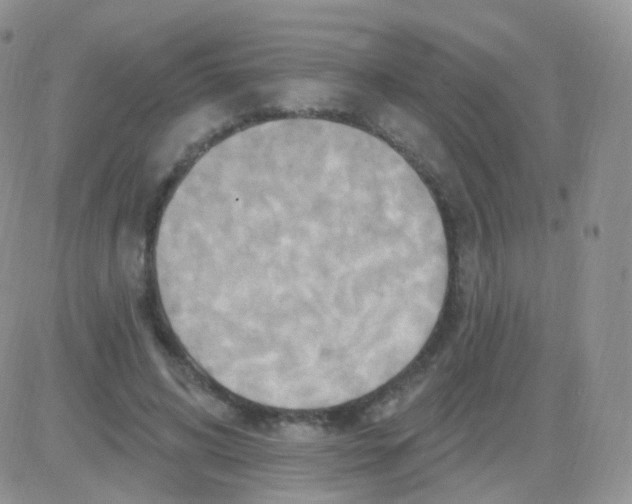 X0000083040592200702231932