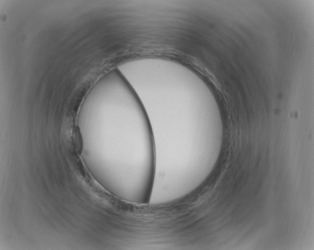 X0000083040593200702231932