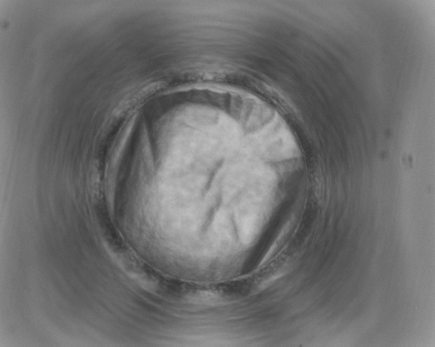 X0000083040594200702231932