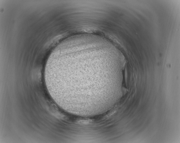 X0000083040595200702231932