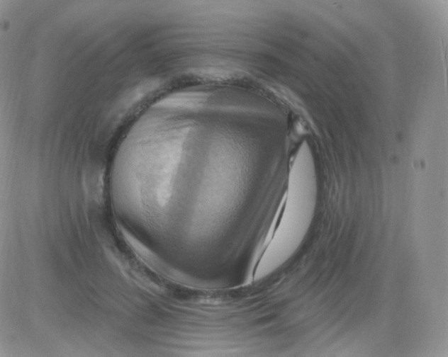 X0000083040596200702231932