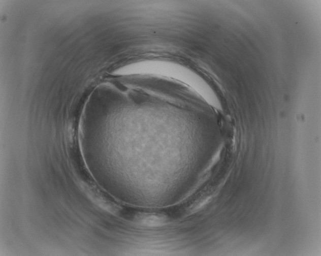 X0000083040597200702231932