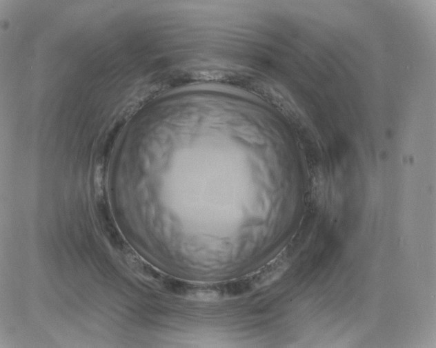 X0000083040598200702231932