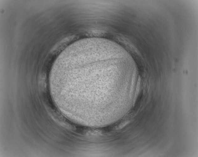 X0000083040599200702231931