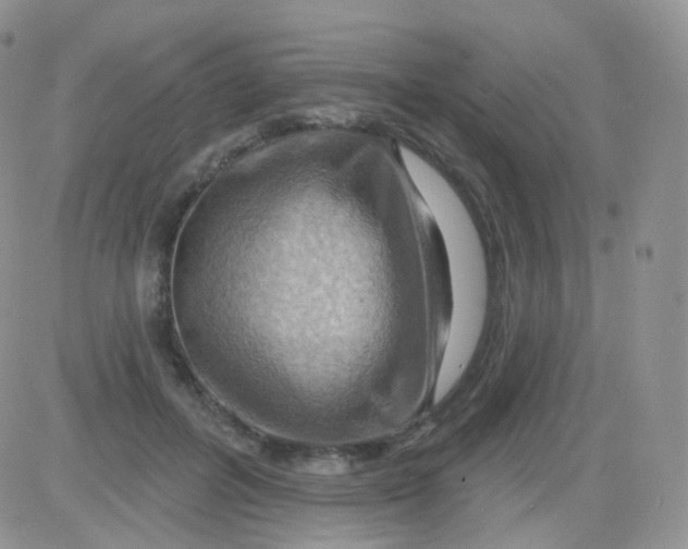 X0000083040600200702231931