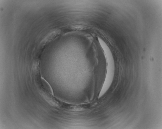 X0000083040601200702231931