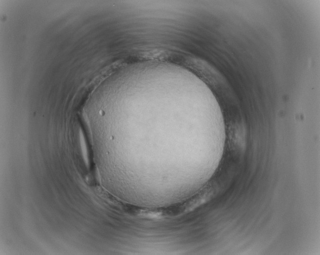 X0000083040602200702231931