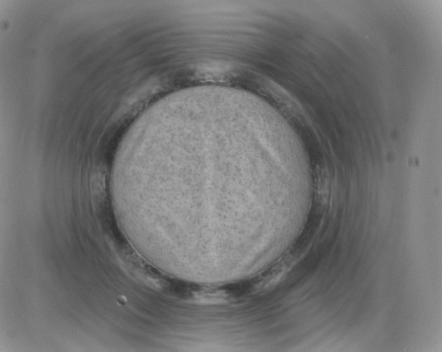 X0000083040603200702231931