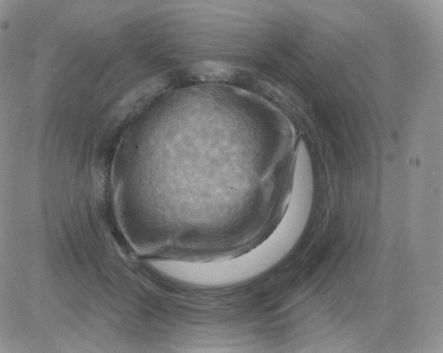 X0000083040604200702231931