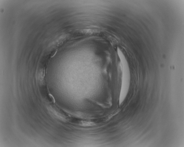 X0000083040605200702231931