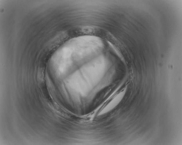 X0000083040606200702231931