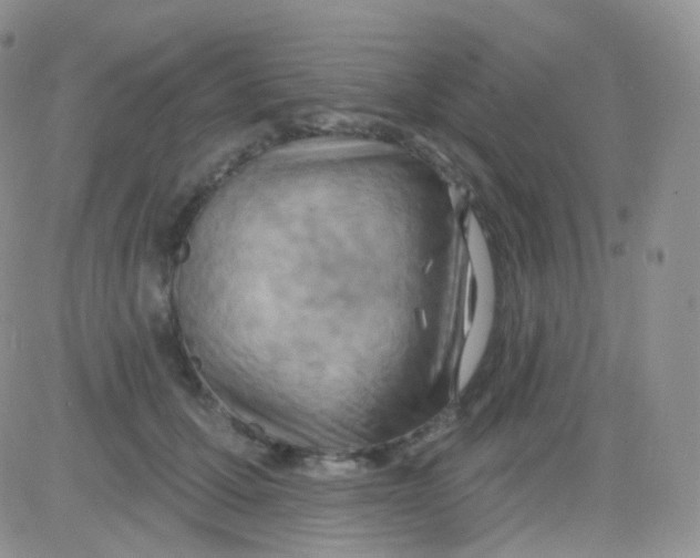 X0000083040607200702231931