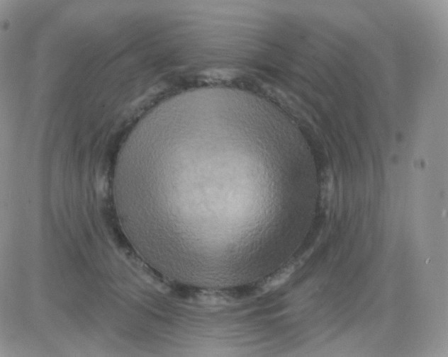 X0000083040608200702231931