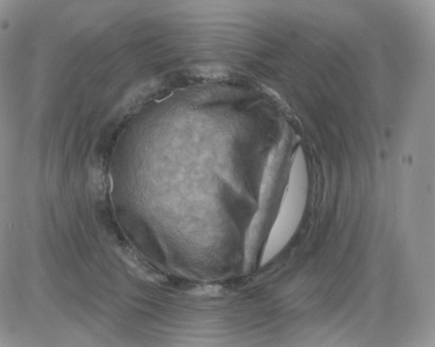 X0000083040609200702231931