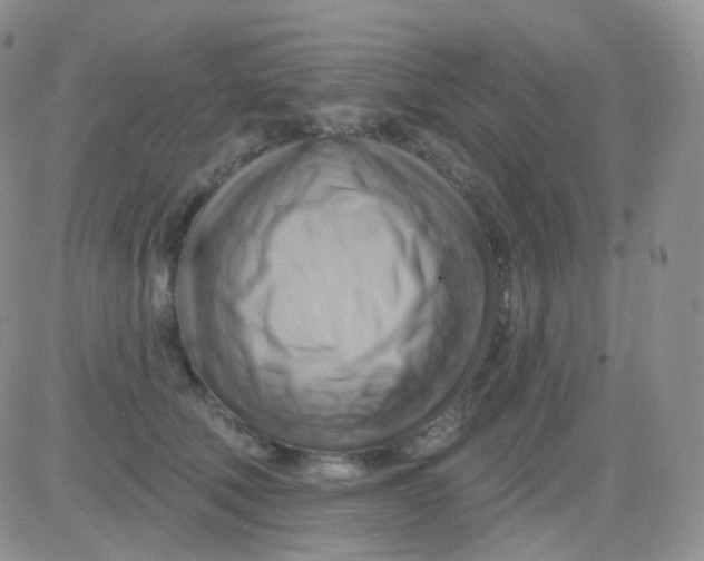 X0000083040610200702231931