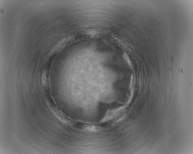 X0000083040611200702231931