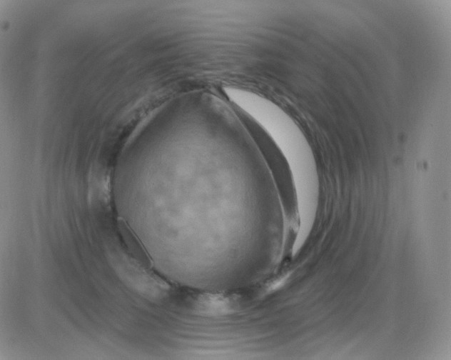 X0000083040613200702231931