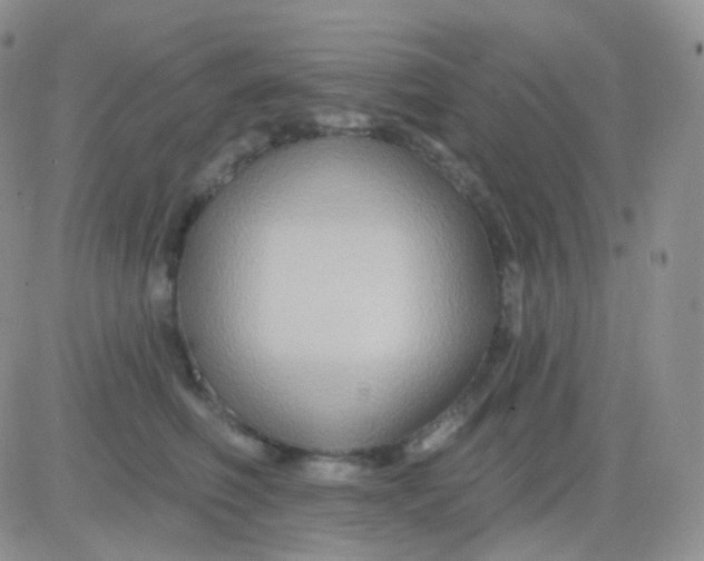 X0000083040614200702231931