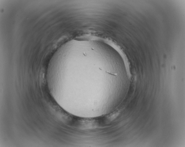 X0000083040615200702231931