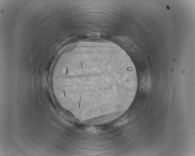 X0000083040616200702231931