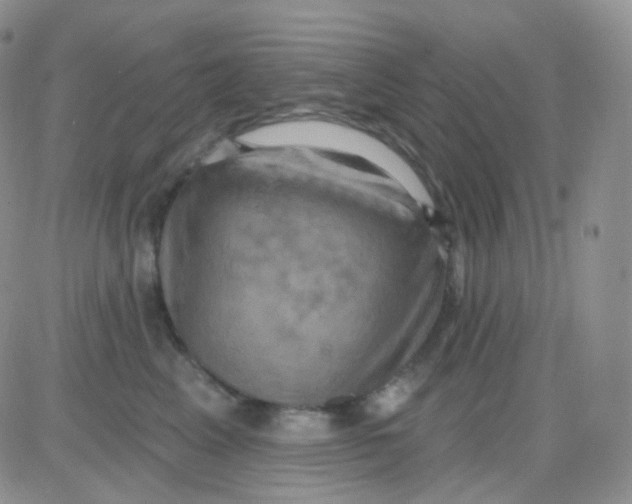 X0000083040617200702231931