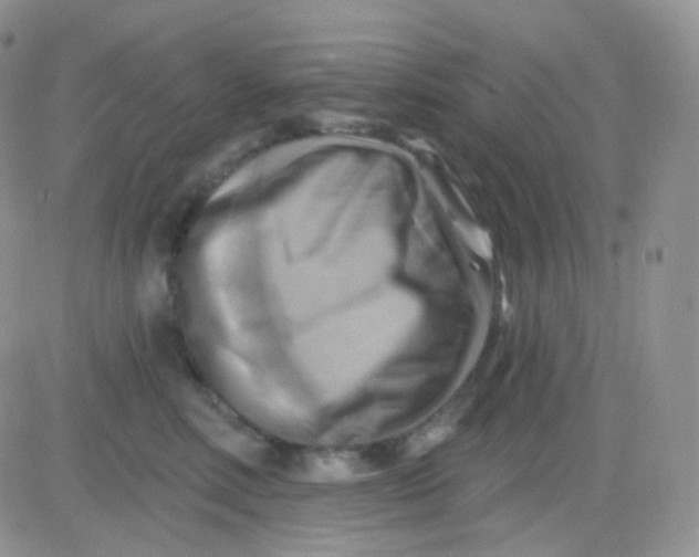 X0000083040618200702231931