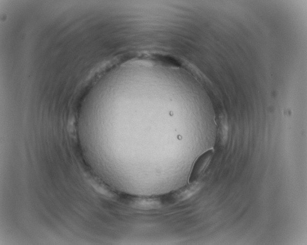 X0000083040619200702231931