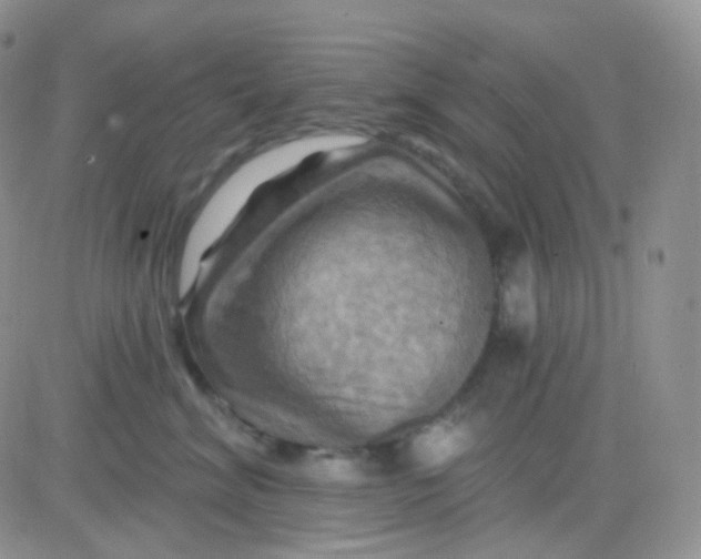 X0000083040620200702231931