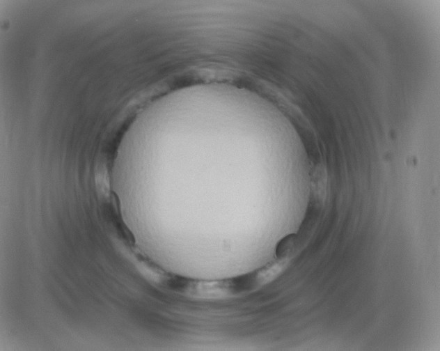 X0000083040622200702231931