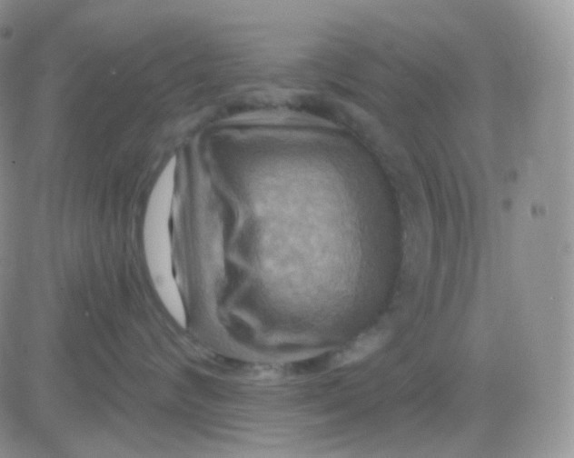 X0000083040624200702231931