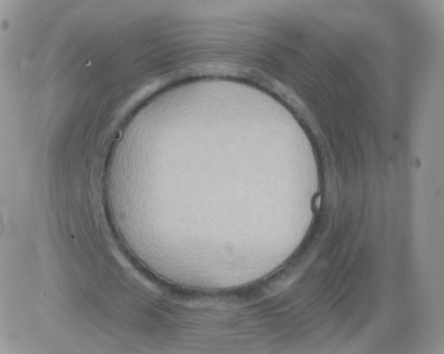 X0000083040625200702231930