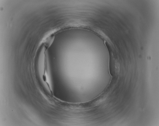 X0000083040626200702231930