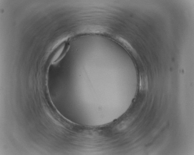 X0000083040627200702231930