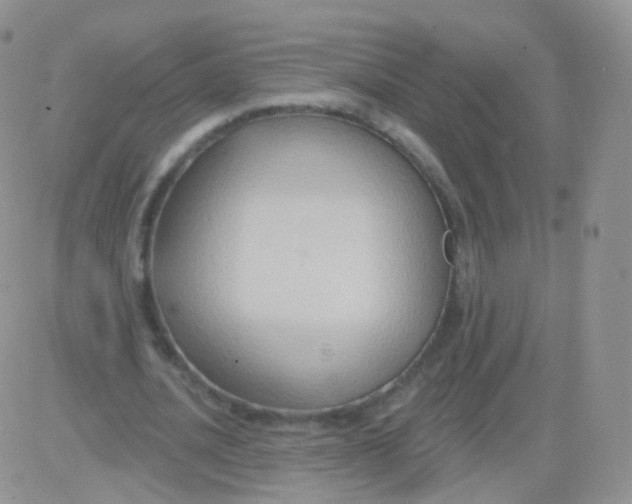 X0000083040628200702231930