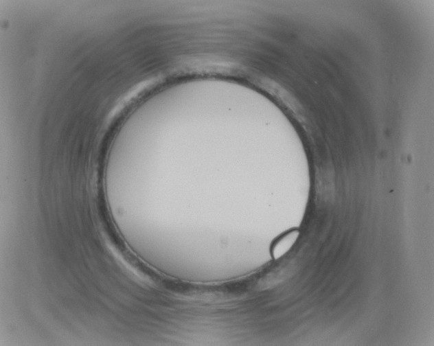 X0000083040629200702231930