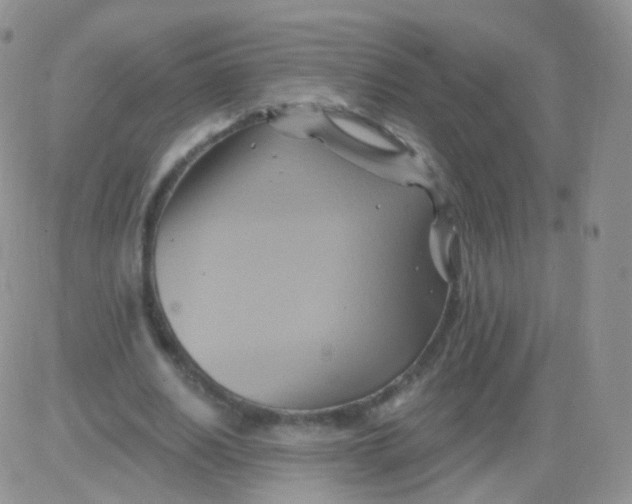 X0000083040630200702231930