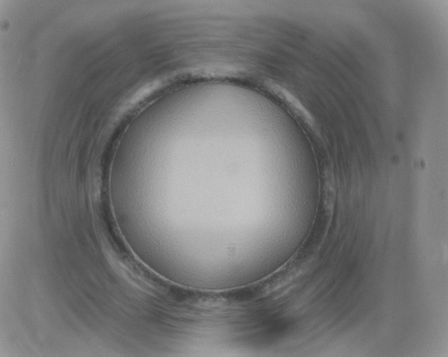 X0000083040631200702231930