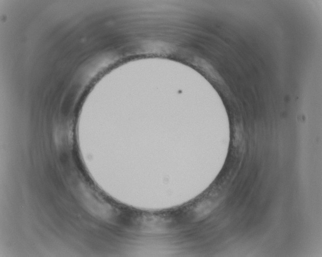 X0000083040632200702231930