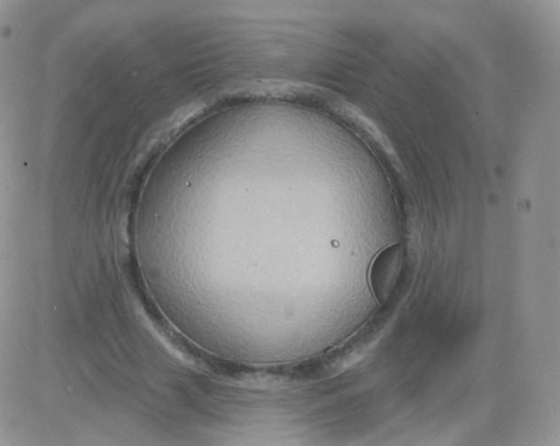 X0000083040633200702231930