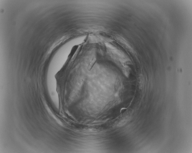 X0000083040634200702231930