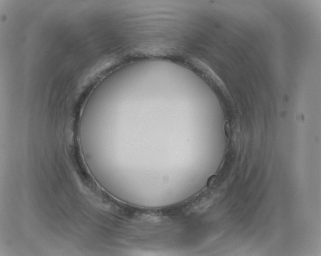 X0000083040635200702231930