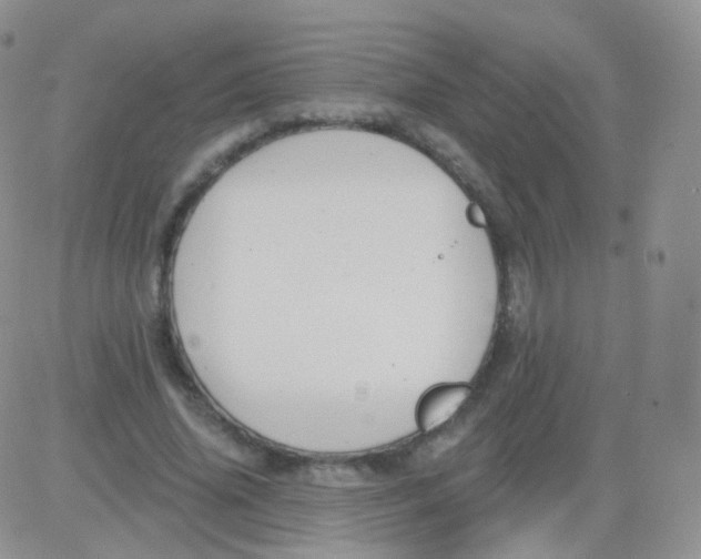 X0000083040636200702231930