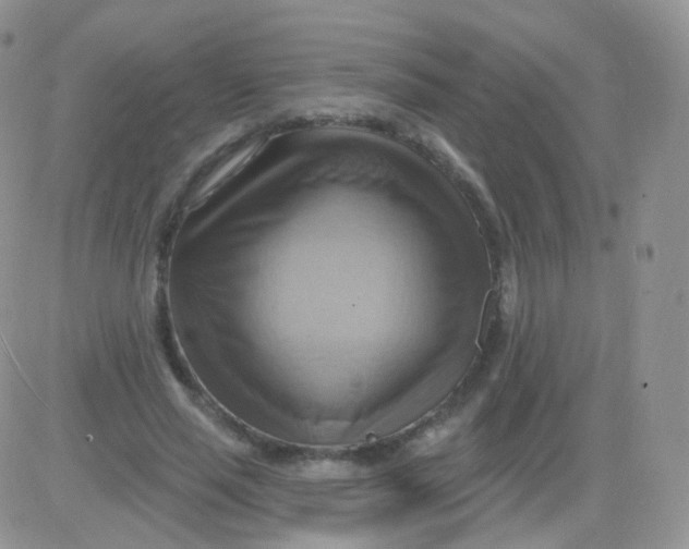 X0000083040637200702231930