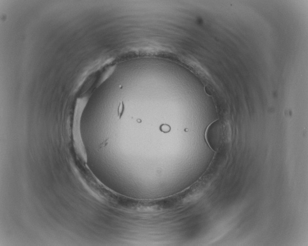 X0000083040638200702231931